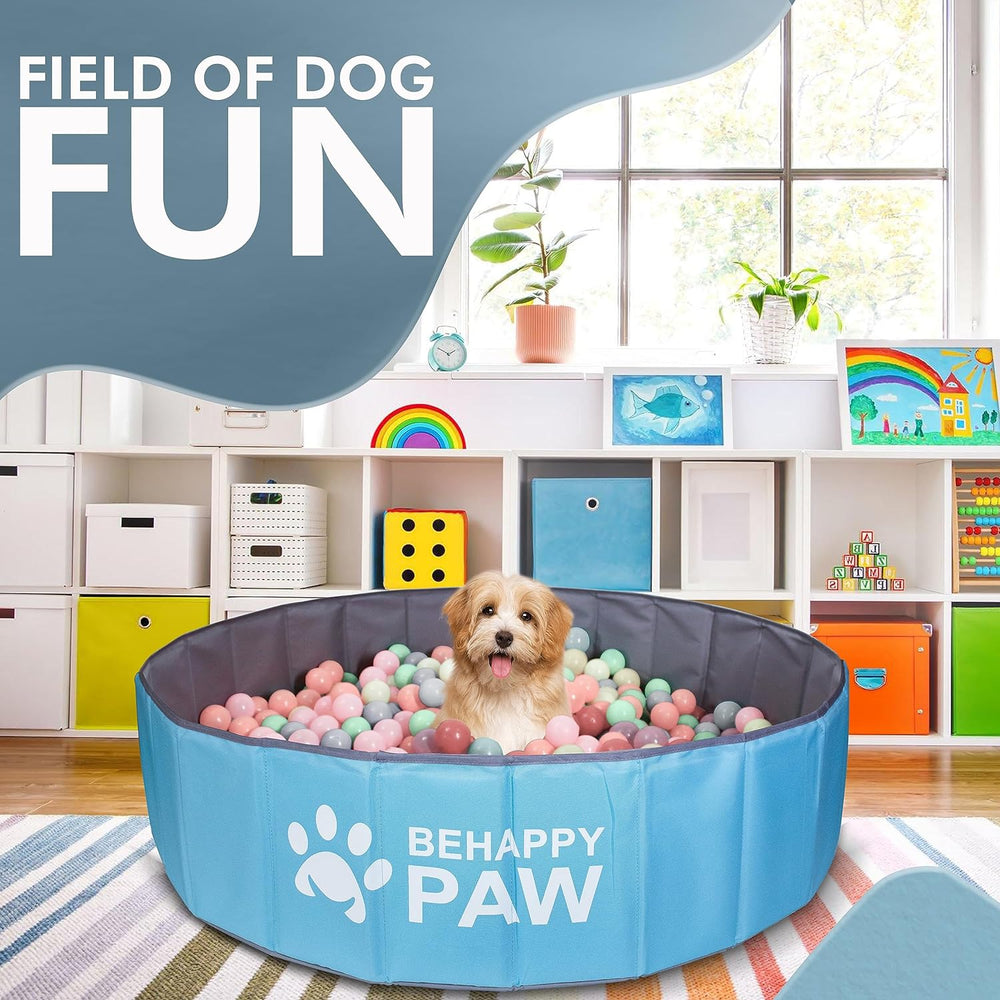 Exciting Dog Ball Pit: Keep Your Dog Entertained, Active, and Healthy!